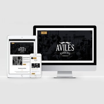 pagina-web-aviles